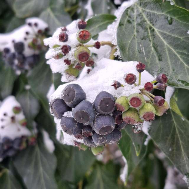 天气预报，带Aleksandar精美的照片