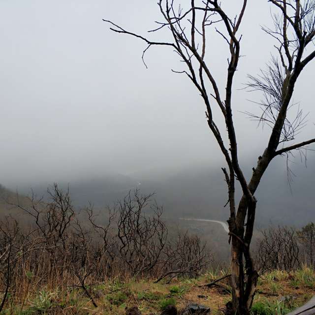 Previsões do tempo com lindas fotos de ANDREY71