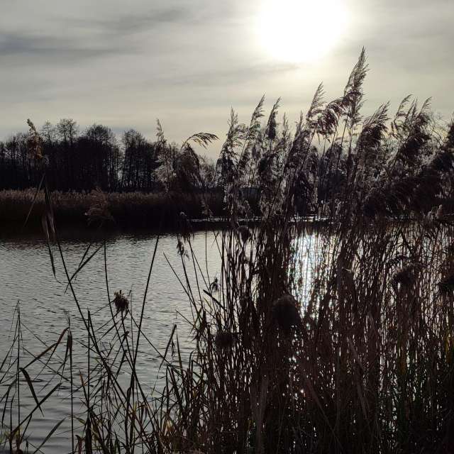 Weather forecasts with beautiful photos by Romek58