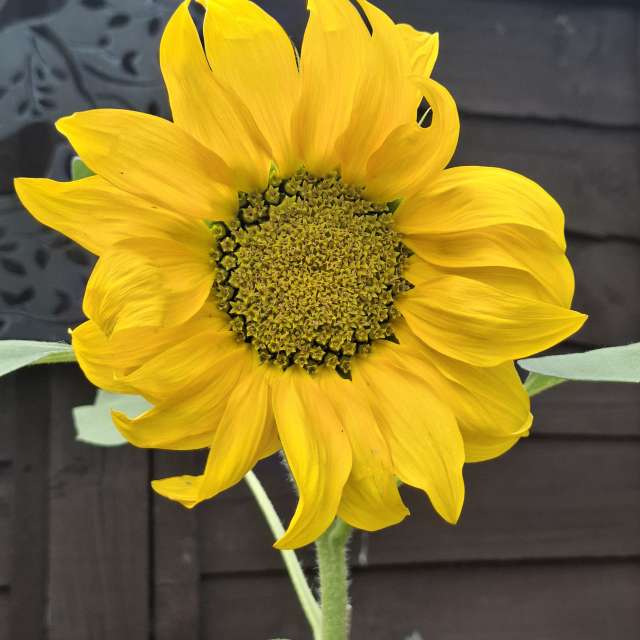 Прогнозы погоды с чудесными фотографиями, сделанными Lolli