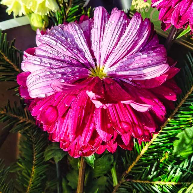 Weather forecasts with beautiful photos by VersusPoint