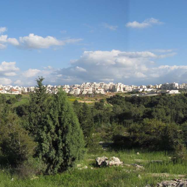 Pasture. Weather forecasts with beautiful photos by Sviatoslav Photos in World