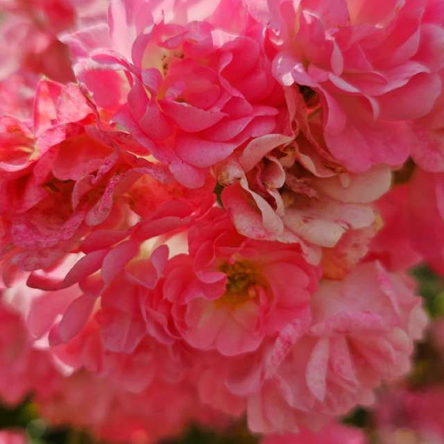 Fotos Computador. Previsões do tempo com lindas fotos de Seni em Velbert