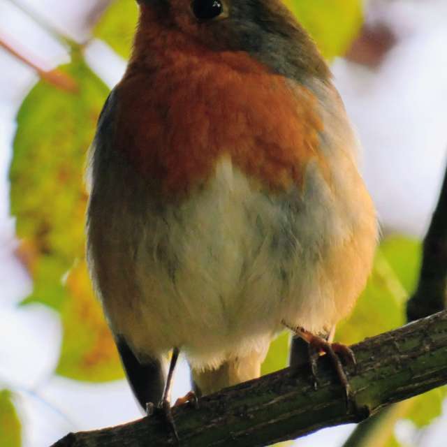 Прогнозы погоды с чудесными фотографиями, сделанными fwerner