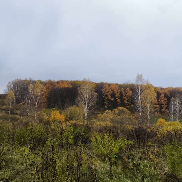 Eating. Weather forecasts with beautiful photos by Aleksei Photos in Tula