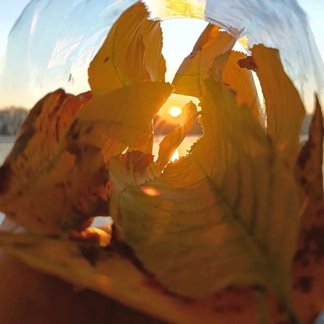 Fotos Abordado. Previsões do tempo com lindas fotos de ЮлЯШа em Gorodckoy Pliazh V Parke "Samal"