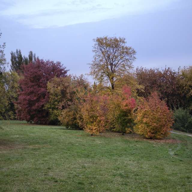 Weather forecasts with beautiful photos by Amanda_and_Valdemar_Che