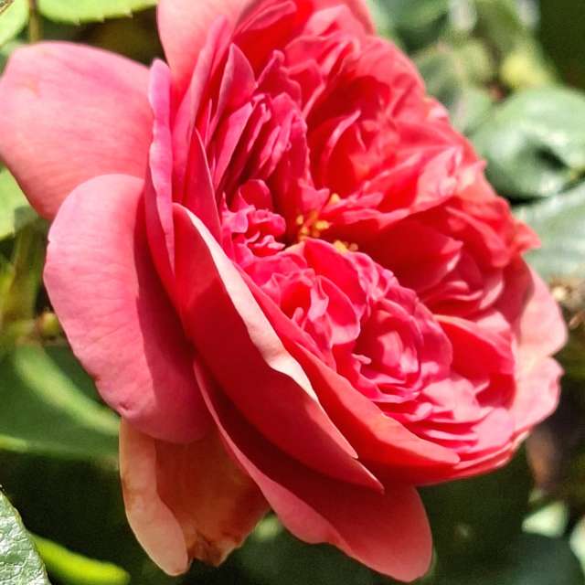 Photos Remplissage. Prévisions météo avec de superbes photos de Wen-ya Huang de Kaohsiung