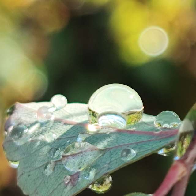 Фотографии Погоды в Мир. Прогнозы погоды с чудесными фотографиями, сделанными Brtd