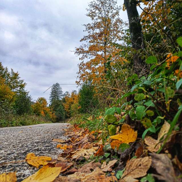 Weather forecasts with beautiful photos by _richardd