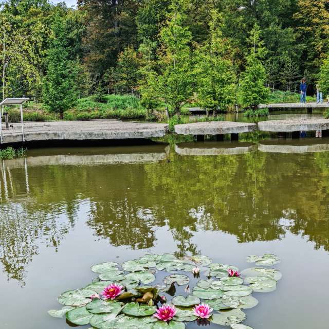 NASTIAの美しい写真による天気予報
