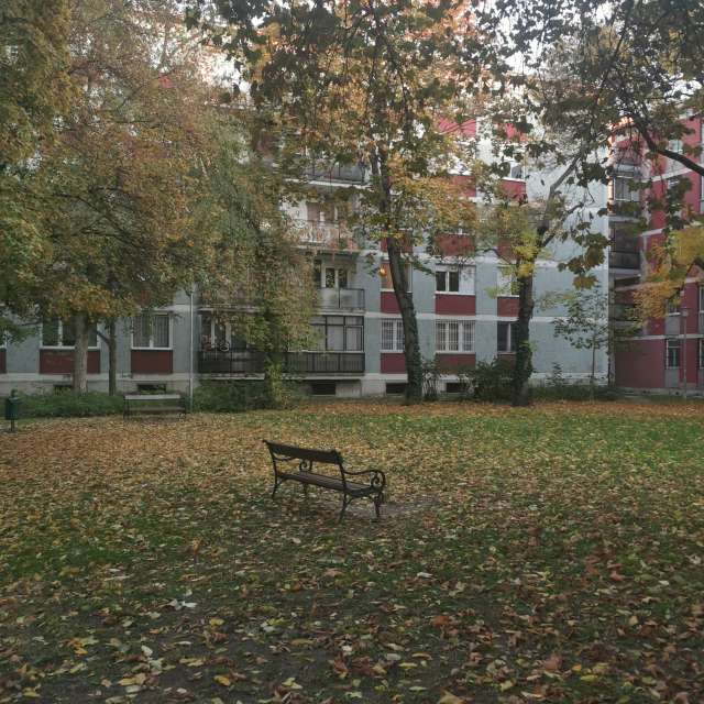 Weiden. Wettervorhersagen mit schönen Fotos von AttilaSzilvássy Fotos Budapest