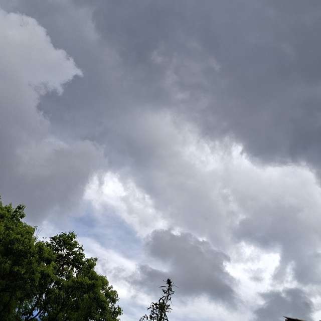 Green. Weather forecasts with beautiful photos by Yvonne Huang Photos in World