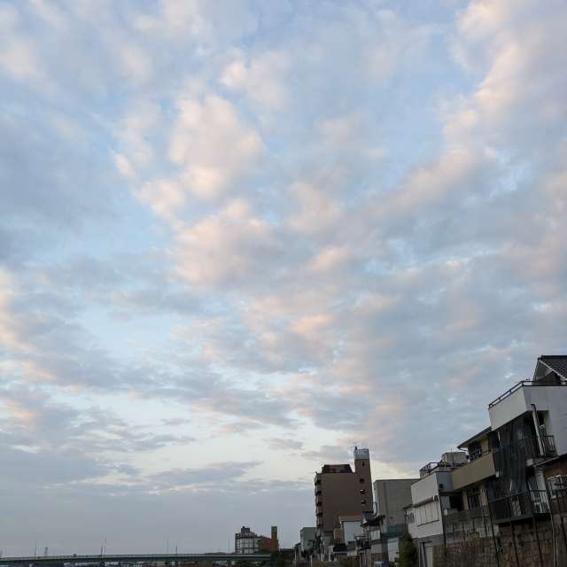 Grassy. Weather forecasts with beautiful photos by あさのジジ Photos in Okayama