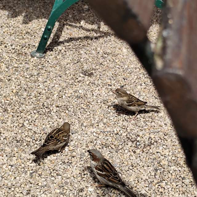 Fotos Pequeno. Previsões do tempo com lindas fotos de Oleg1961 em Kladow