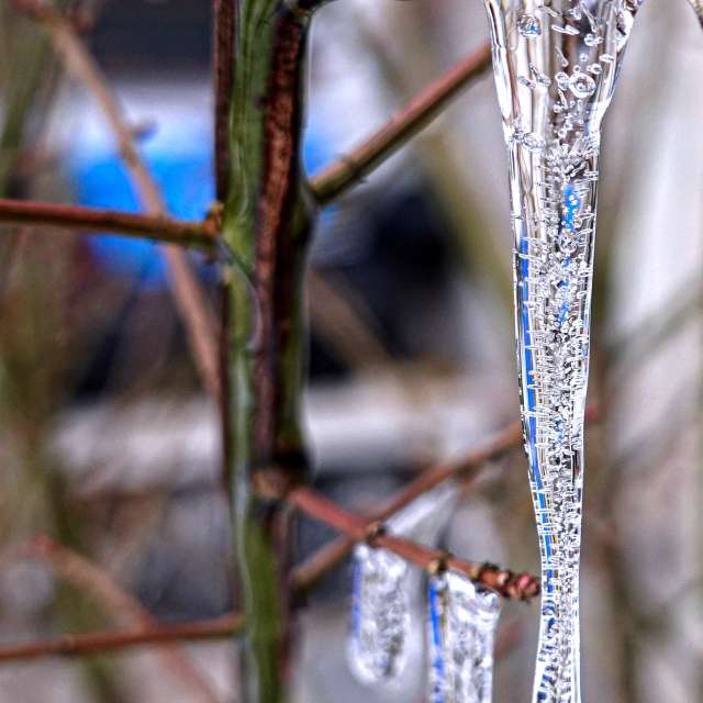 Weather forecasts with beautiful photos by Dandit