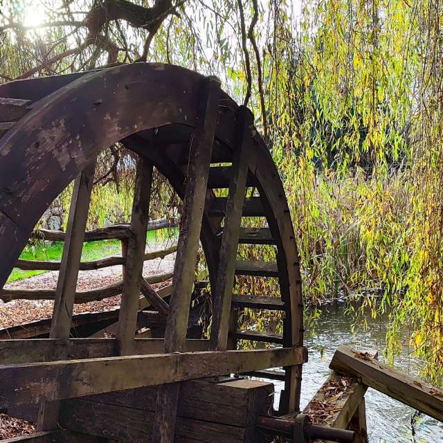 Weather forecasts with beautiful photos by Romek58