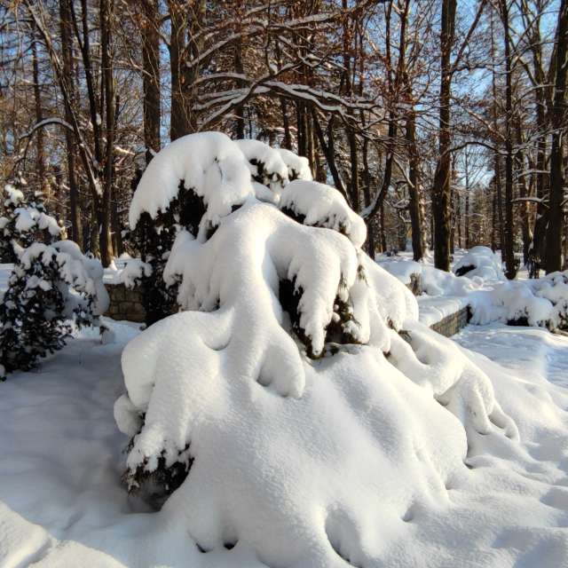 Skifahren. Wettervorhersagen mit schönen Fotos von Kripo Fotos Ladek Zdroj