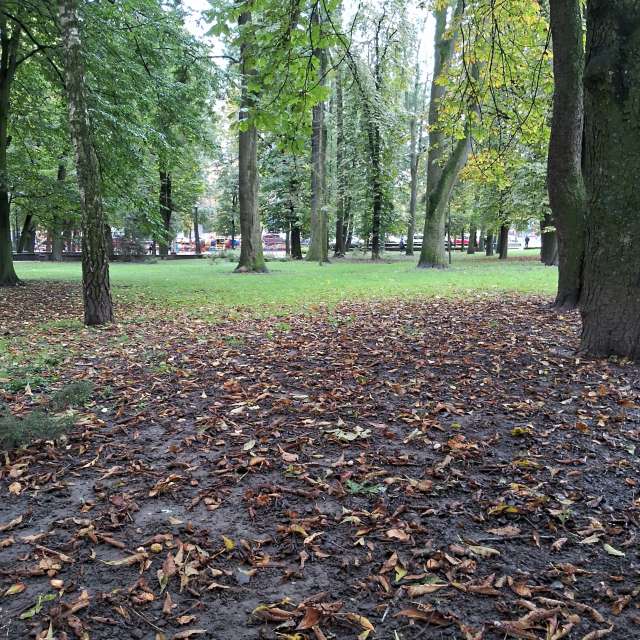 Weather forecasts with beautiful photos by urashm