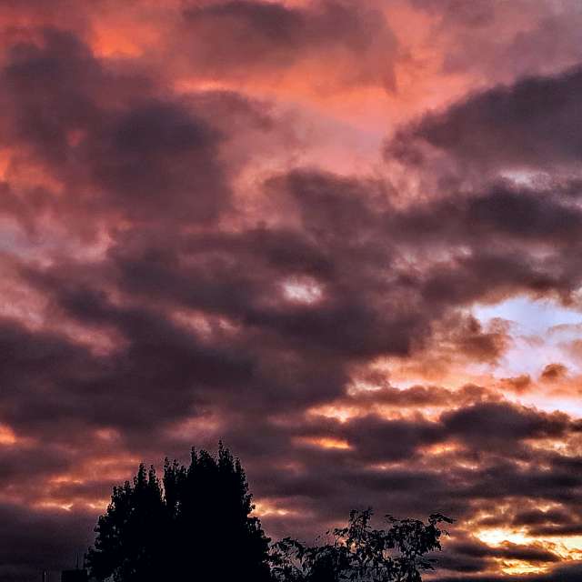 Background. Weather forecasts with beautiful photos by Wiesiek Photos in Gdansk