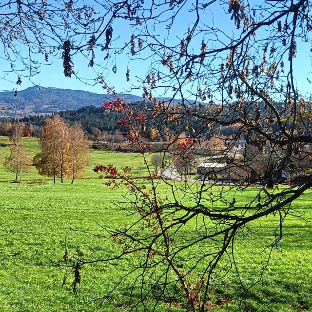 Previsões do tempo com lindas fotos de Muschelschloss
