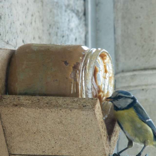 Weather forecasts with beautiful photos by Fon_Tunnissen