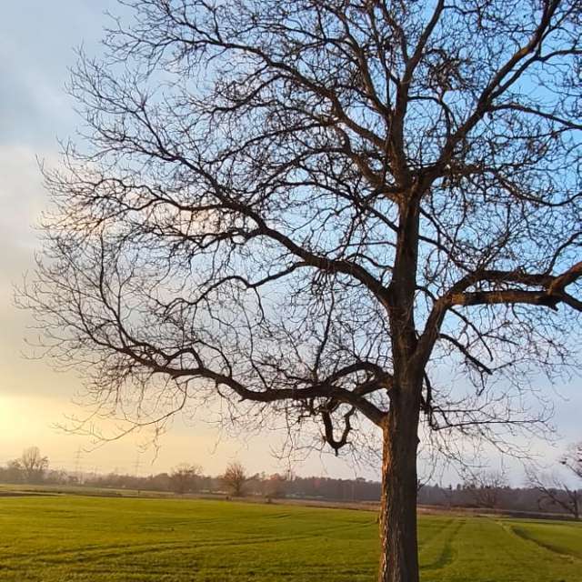 Weather Photos in World. Weather forecasts with beautiful photos by Tercis