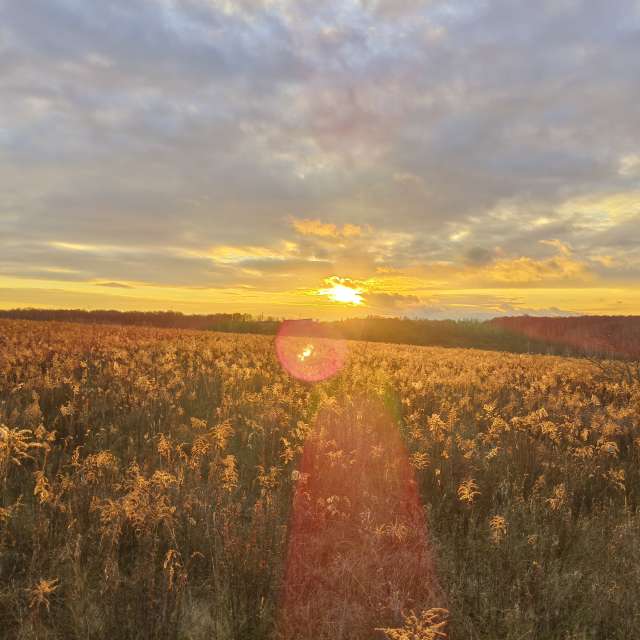 世界的天气照片. 天气预报，带Aleksei精美的照片