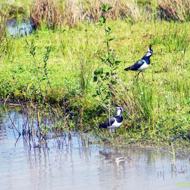 Weather forecasts with beautiful photos by Fon_Tunnissen