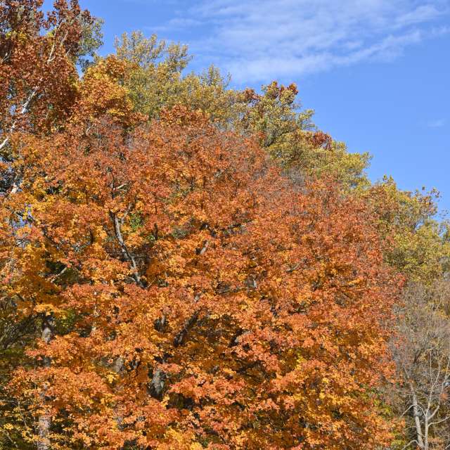 Park. Weather forecasts with beautiful photos by krantzjh Photos in Clifty Falls State Park