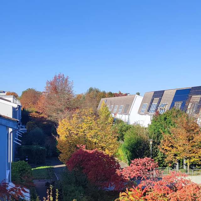 Bus. Weather forecasts with beautiful photos by Tercis Photos in Ettlingen