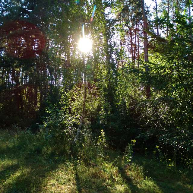 Sheep. Weather forecasts with beautiful photos by Михаил Гавриков Photos in Kharkiv
