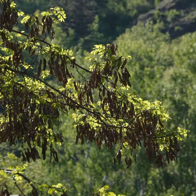 Fotos Abordado. Previsões do tempo com lindas fotos de Vasek325 em Praha 4