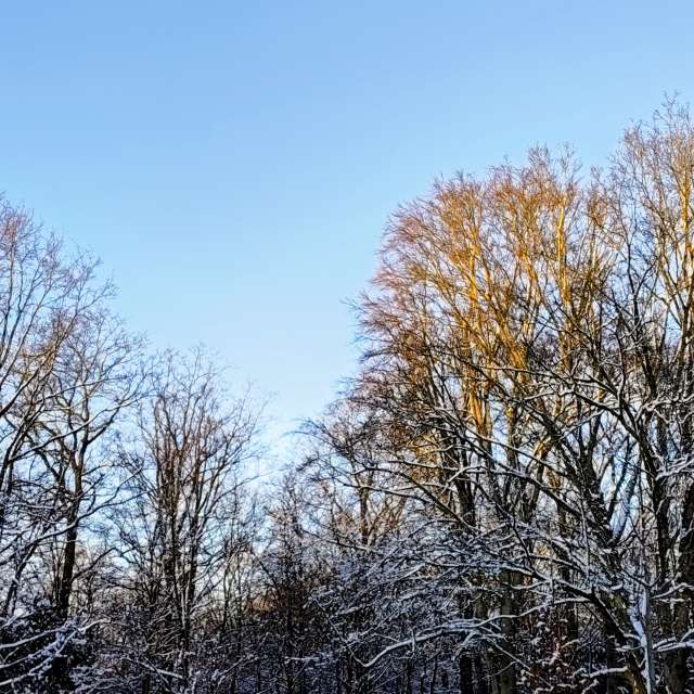 天气预报，带Gaucho精美的照片