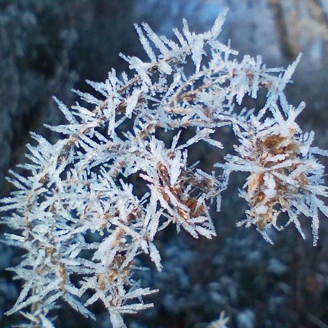 Прогнозы погоды с чудесными фотографиями, сделанными Fredy_Hiker