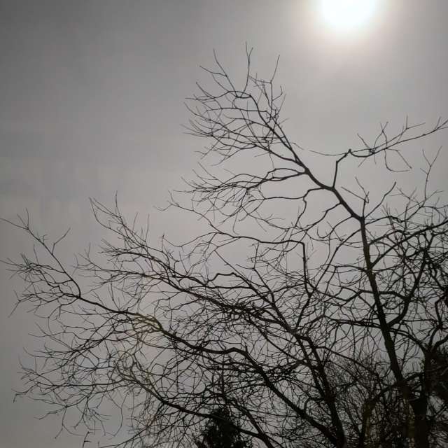 Прогнозы погоды с чудесными фотографиями, сделанными Sunshinelady62