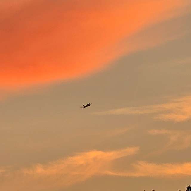Flock. Weather forecasts with beautiful photos by Seni Photos in Velbert