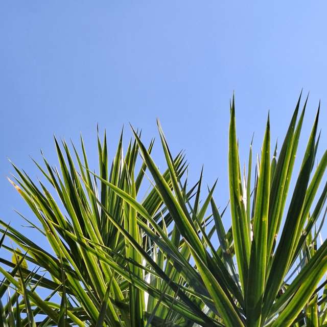 Wettervorhersagen mit schönen Fotos von Wen-ya Huang