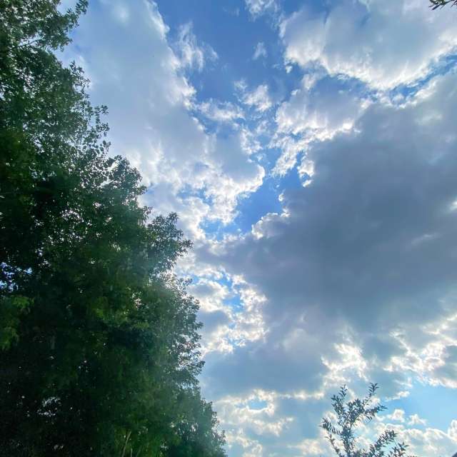 Lulu5523の美しい写真による天気予報