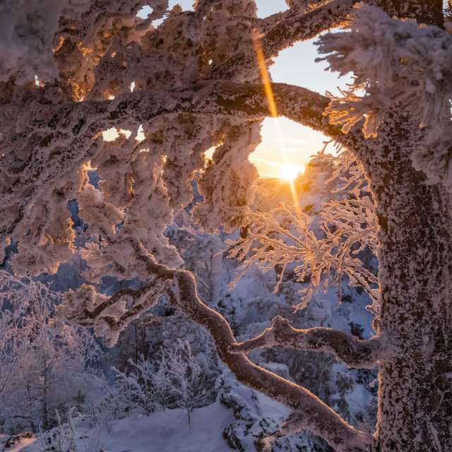 Фотографии Погоды в Мир. Прогнозы погоды с чудесными фотографиями, сделанными Nymph542