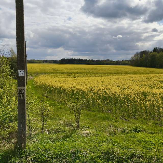 Hintergrund. Wettervorhersagen mit schönen Fotos von Valiukas Fotos Litauen