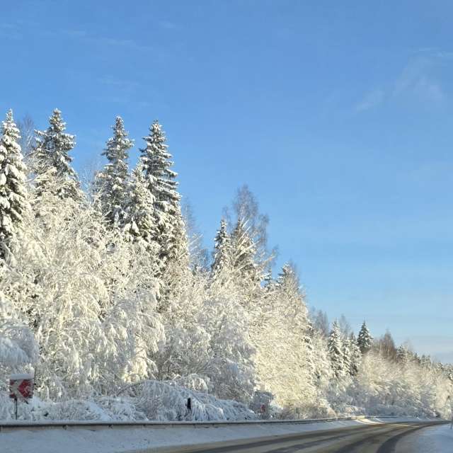 Stroganov_4の美しい写真による天気予報