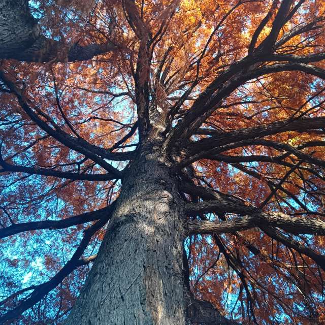Fotos sobre el clima en Mundo. Pronósticos del tiempo con hermosas fotos de YanBog