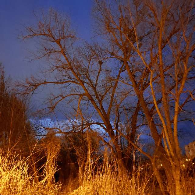 Magic. Weather forecasts with beautiful photos by Iryna Photos in Kharkiv