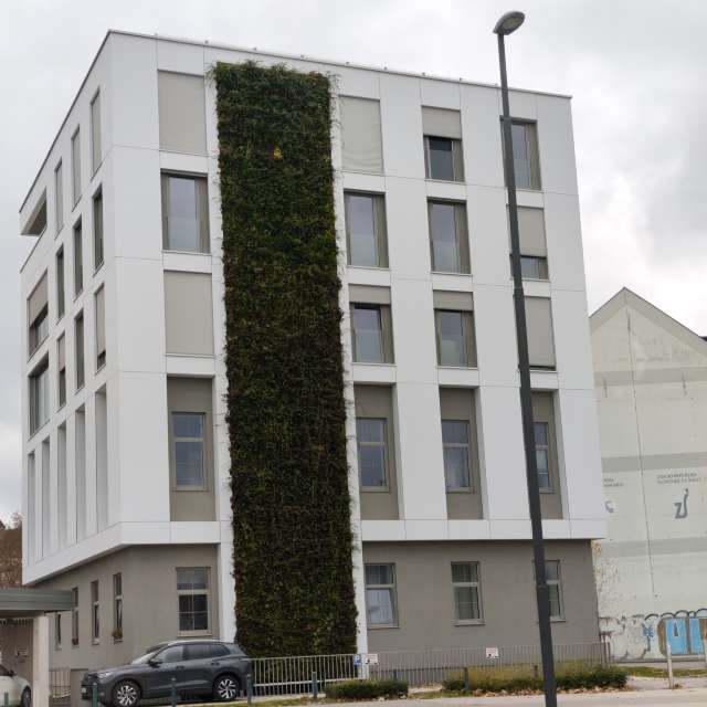 Anamarijaの美しい写真による天気予報