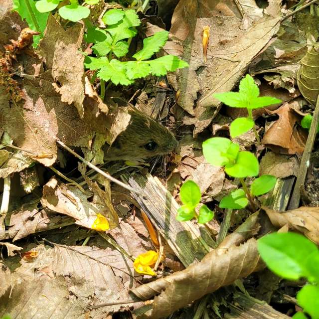 Pronósticos del tiempo con hermosas fotos de Tinch85