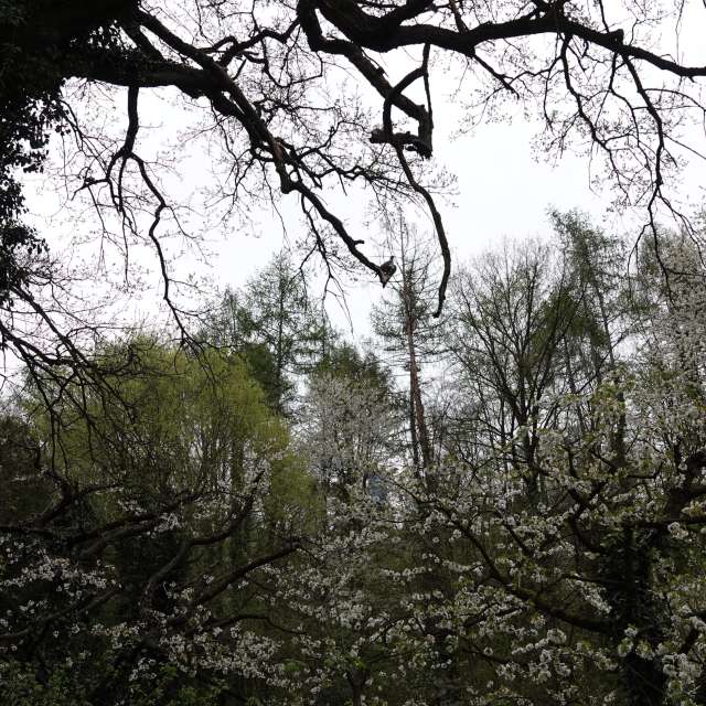 Fotos Abordado. Previsões do tempo com lindas fotos de Vasek325 em Praha 4