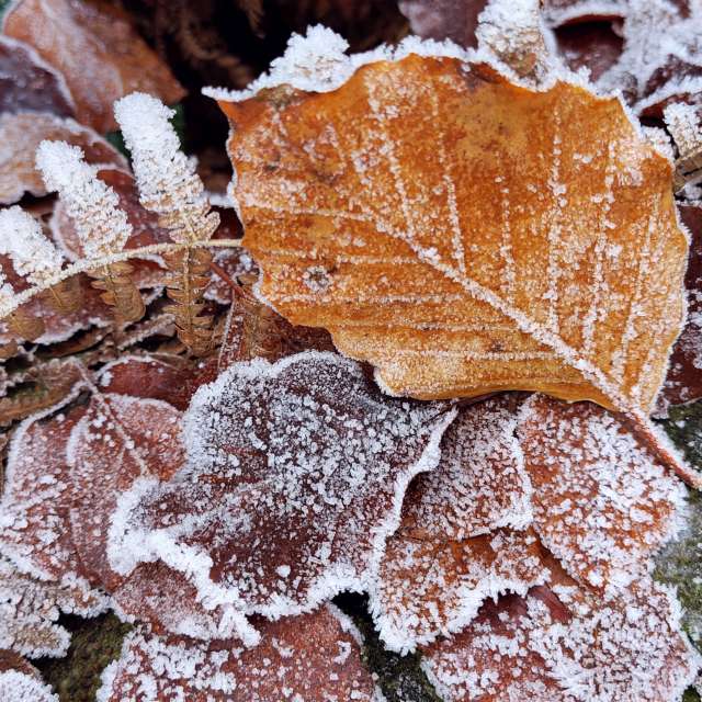 Pronósticos del tiempo con hermosas fotos de Richtoldi