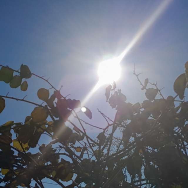 天气预报，带Soheilpmi精美的照片