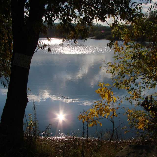 Sheep. Weather forecasts with beautiful photos by Михаил Гавриков Photos in Kharkiv